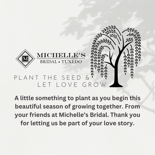 michelle's bridal willow tree seed package image